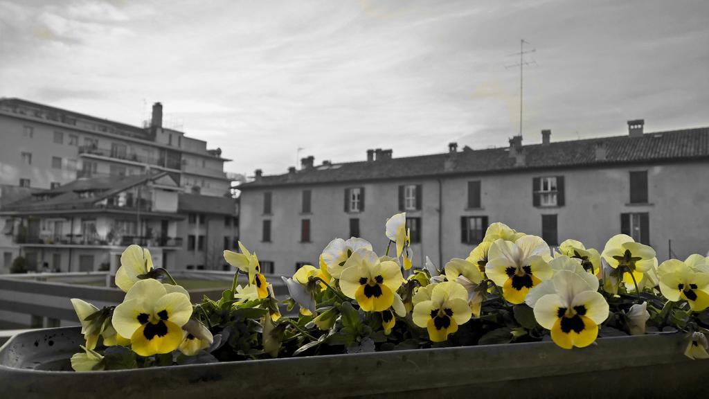 Airport Station Bergamo Hotel Exterior photo